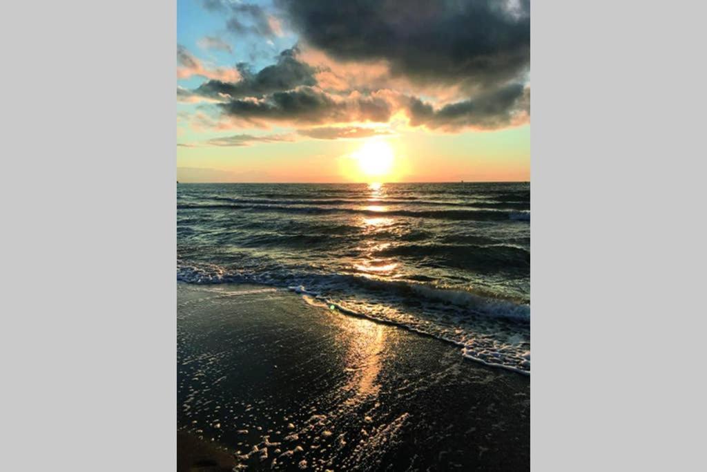 Ostsee-Ferienwohnung Uhlnuest Graal-Mueritz Gelbensande Bagian luar foto