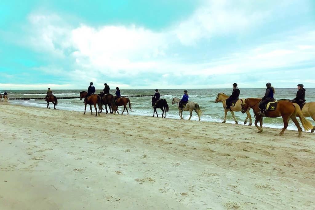 Ostsee-Ferienwohnung Uhlnuest Graal-Mueritz Gelbensande Bagian luar foto