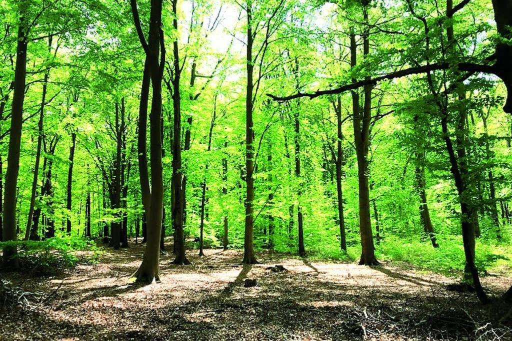 Ostsee-Ferienwohnung Uhlnuest Graal-Mueritz Gelbensande Bagian luar foto