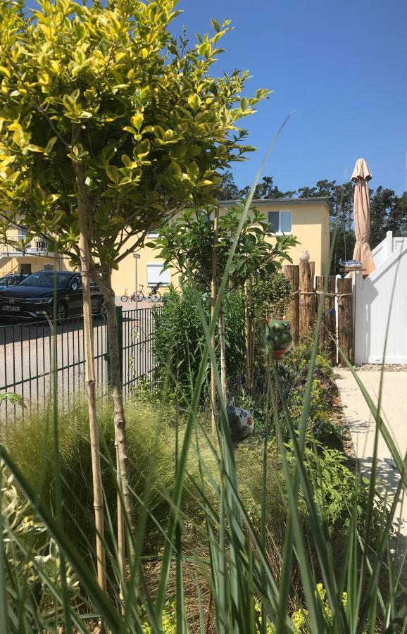 Ostsee-Ferienwohnung Uhlnuest Graal-Mueritz Gelbensande Bagian luar foto
